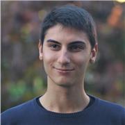 Laureando in Ingegneria Elettronica offre ripetizioni di matematica a studenti in difficoltà